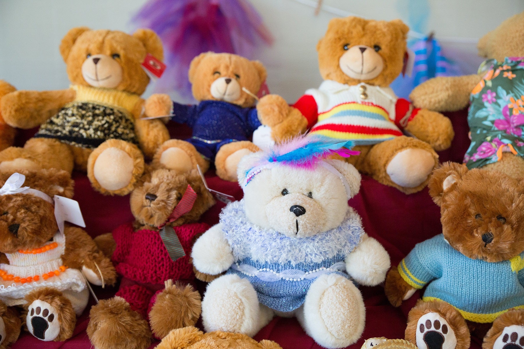 Teddy Bear Tea | The Gardens at Heather Farm